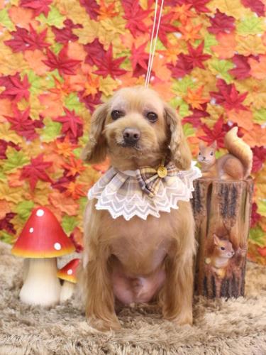 20241107紋之助くん